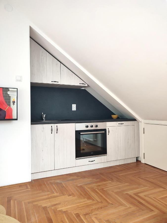 Apartment Ns Dan Private Parking Novi Sad